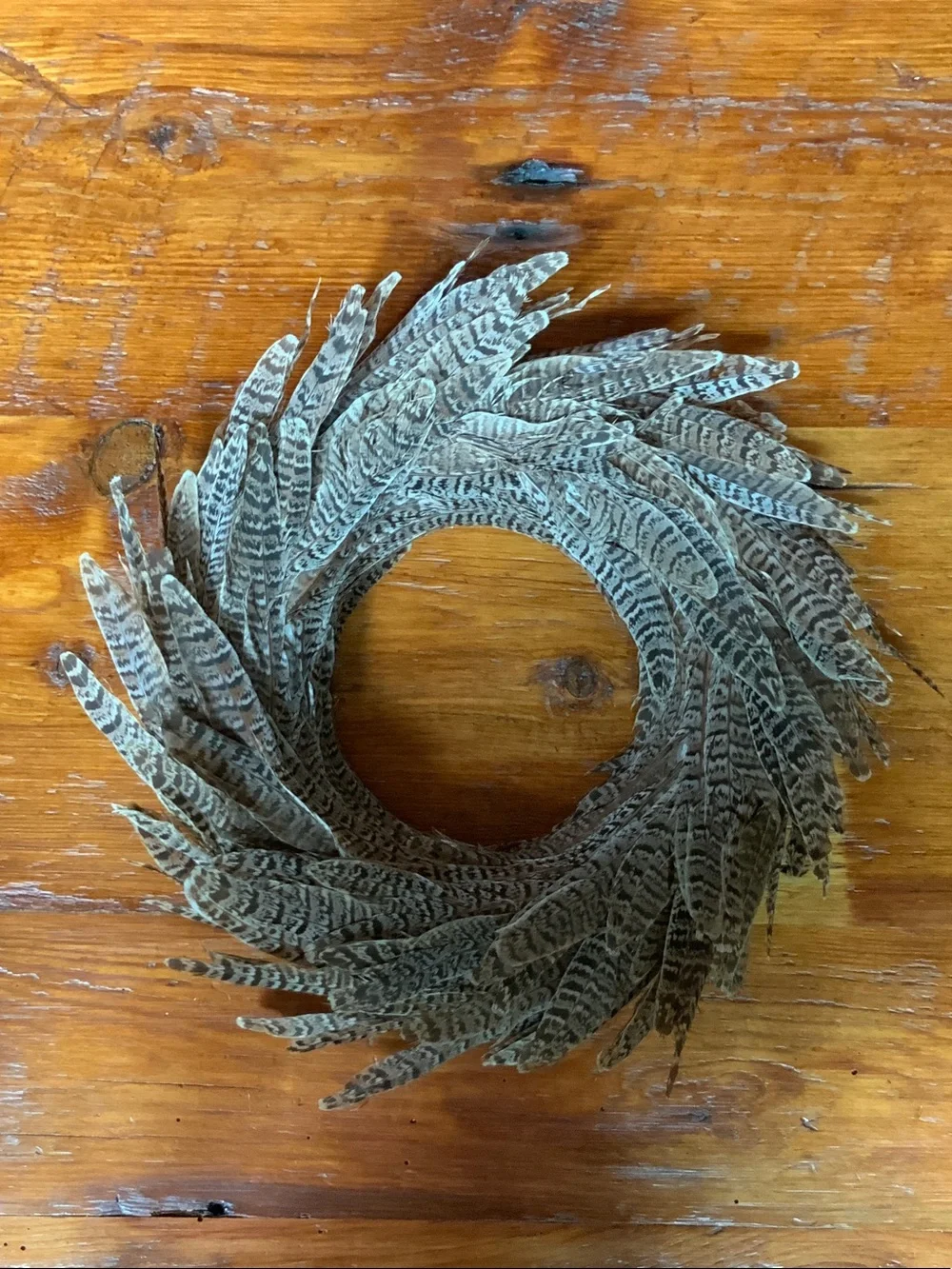 Decorative Pheasant Feather Holiday Wreath - Natural Brown
